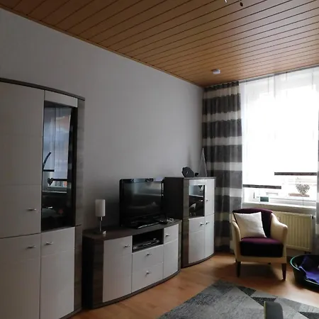 Adler Apartment Auerbach (Vogtland)